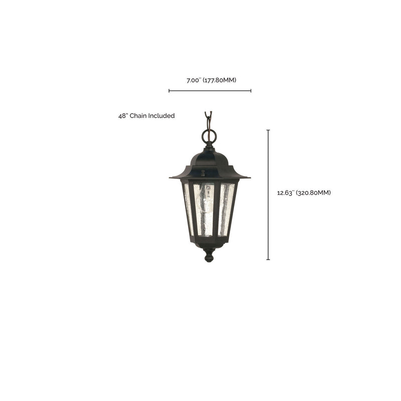 Nuvo Lighting 60-993 One Light Hanging Lantern, Textured Black