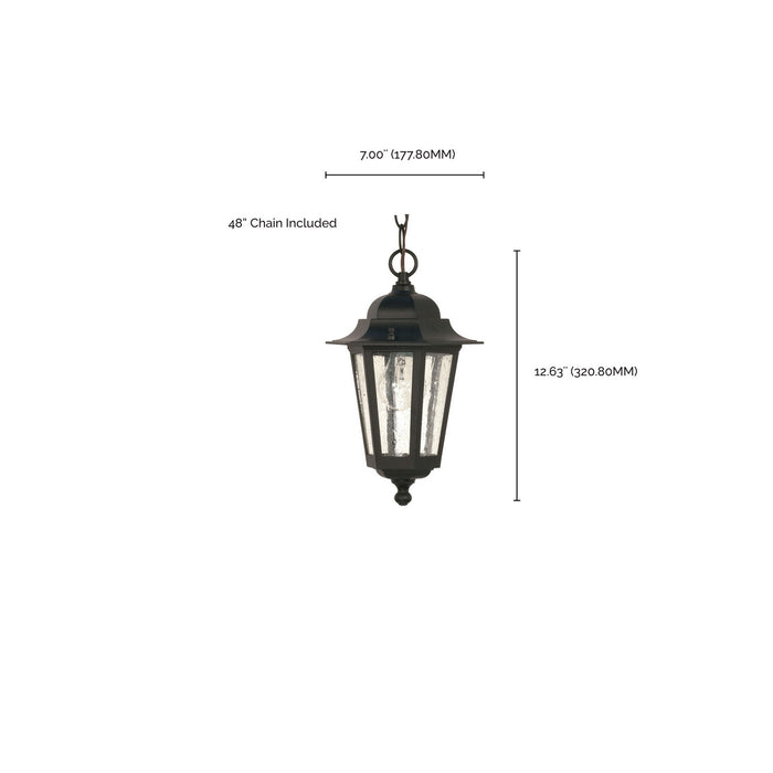 Nuvo Lighting 60-993 One Light Hanging Lantern, Textured Black
