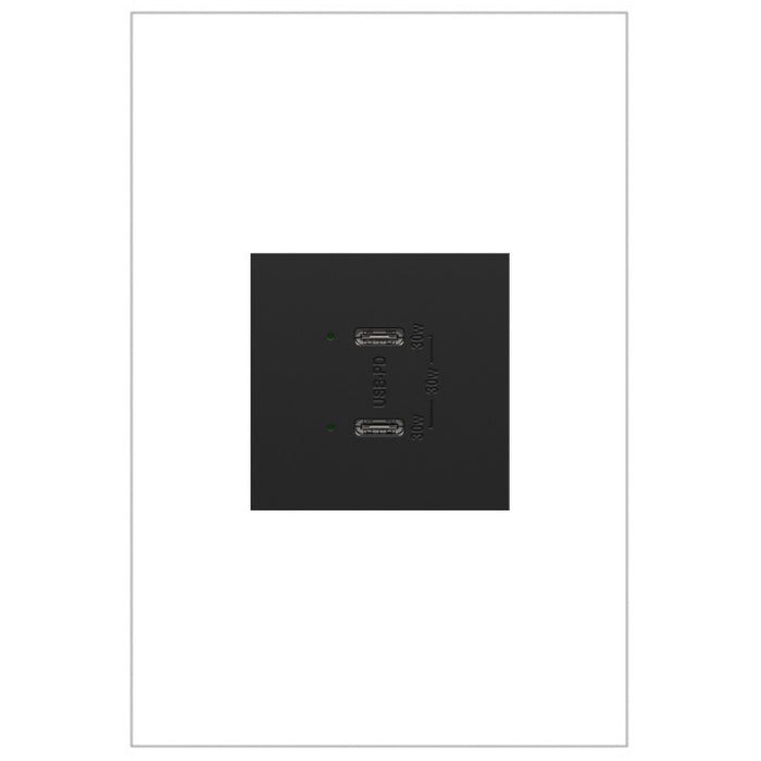 Legrand ARUSB30PDG4 Plus Power Delivery USB Type-C/C Outlet Module, Graphite