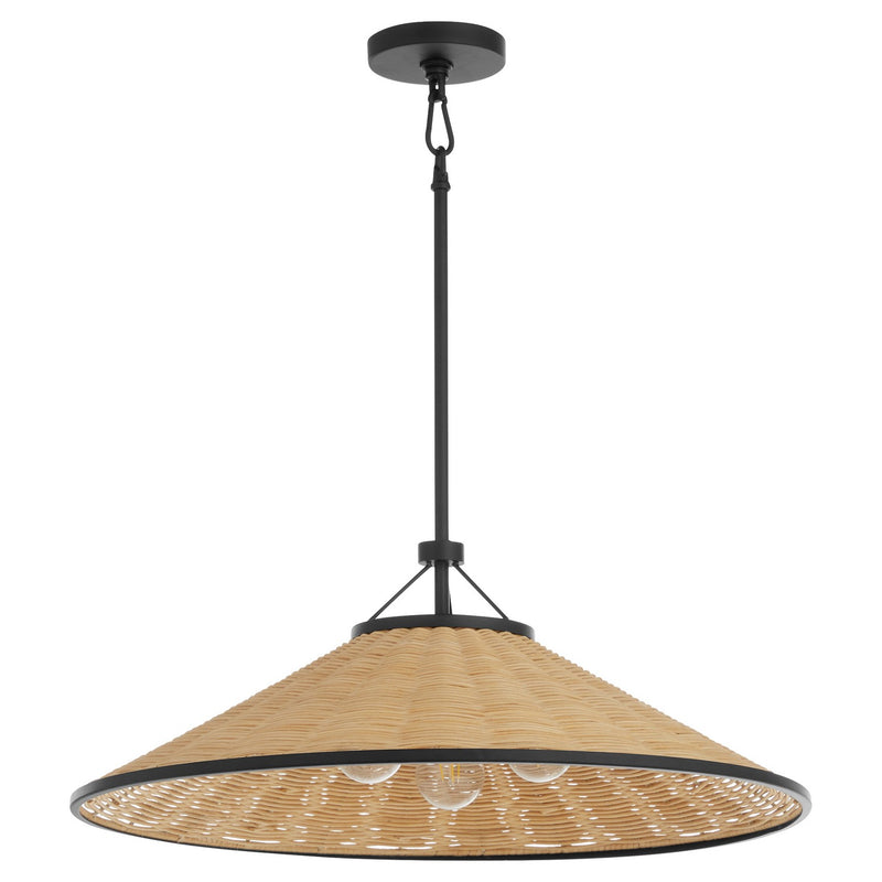 Quorum 830-3-59 Three Light Pendant, Matte Black