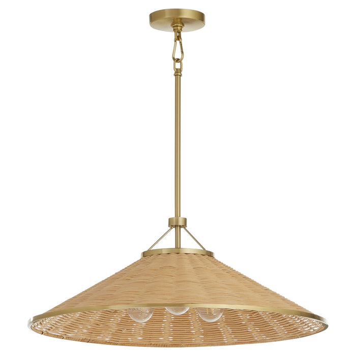 Quorum 830-3-80 Three Light Pendant, Aged Brass