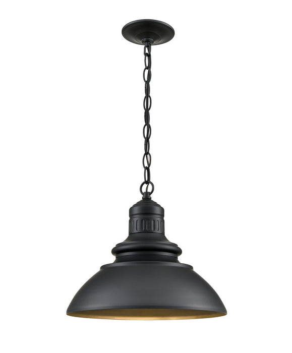 Millennium 81103-PBK LED Outdoor Lantern, Powder Coated Black