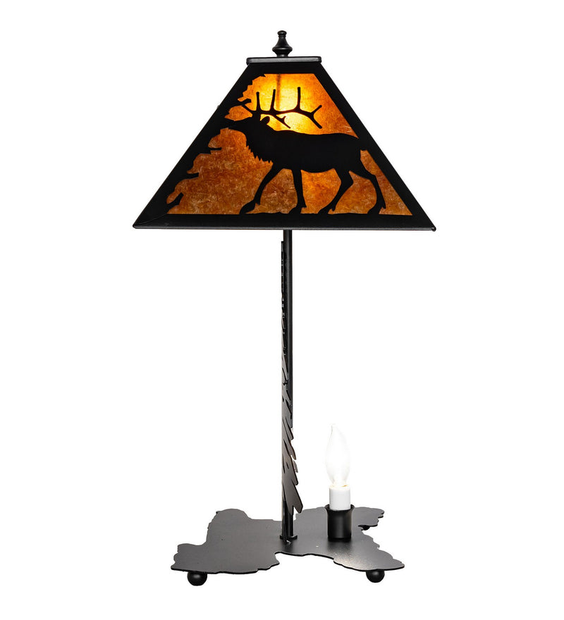 Meyda Tiffany 270059 Two Light Accent Lamp
