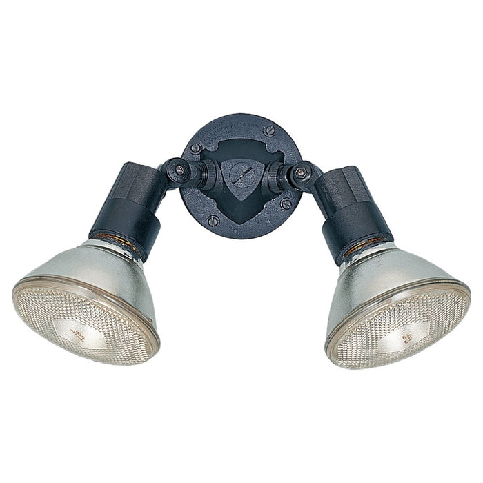 Generation Lighting 8642-12 Two Light Flood Light, Black