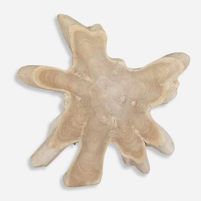 Uttermost 04366 Wall Decor, Natural Bleached Blonde