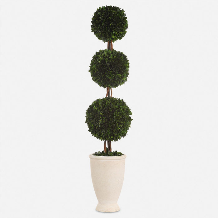 Uttermost 60223 Triple Topiary, Terracotta