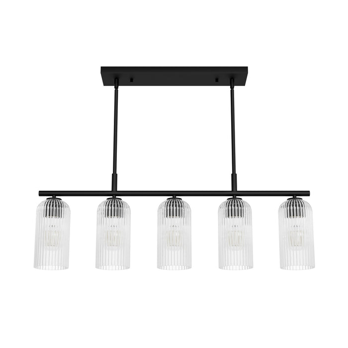 Hunter 13232 Five Light Chandelier, Matte Black