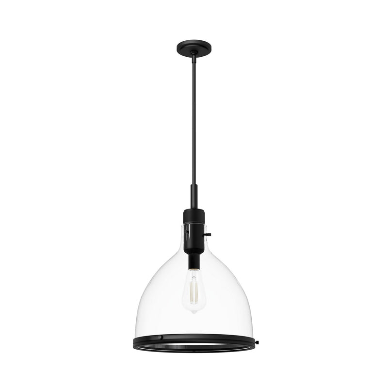 Hunter 48051 One Light Pendant, Matte Black