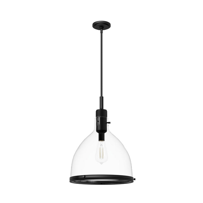 Hunter 48051 One Light Pendant, Matte Black