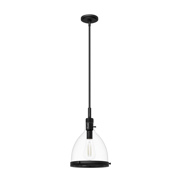 Hunter 48052 One Light Pendant, Matte Black