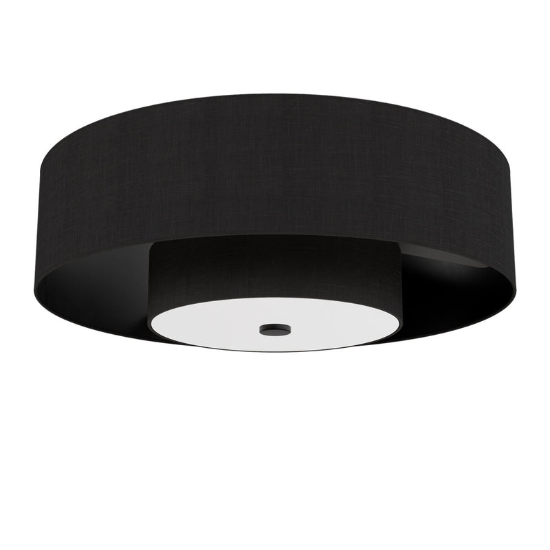 Hunter 52975 30" Ceiling Fan, Matte Black