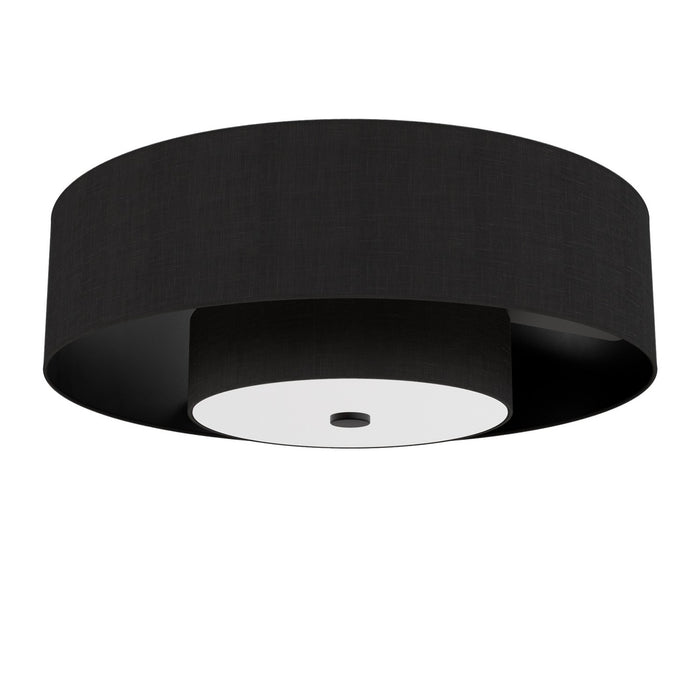 Hunter 52975 30" Ceiling Fan, Matte Black