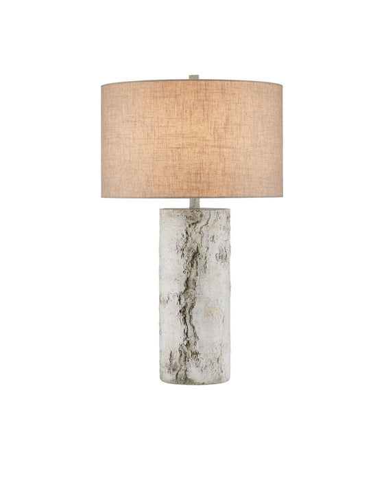 Currey and Company 6000-0979 One Light Table Lamp, Birch White / Gray