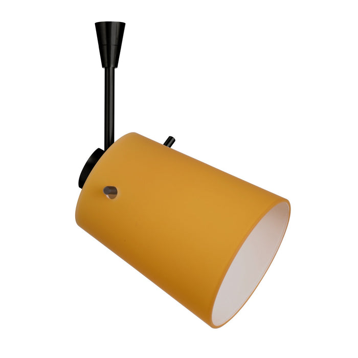 Besa SP-5118AM-LED-BK Spotlight, Black