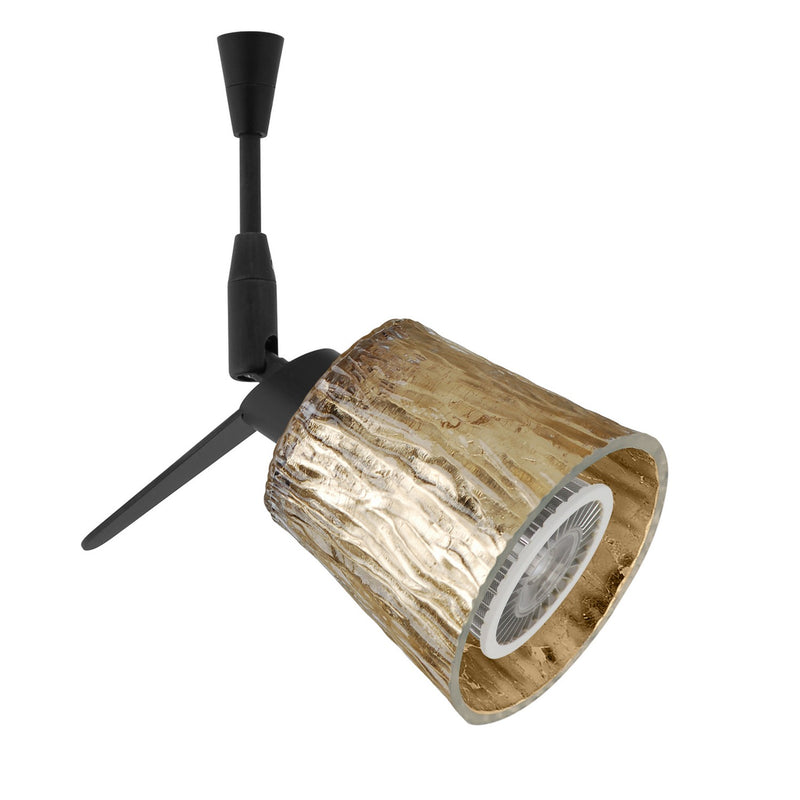 Besa SP-5145GF-LED-BK Spotlight, Black