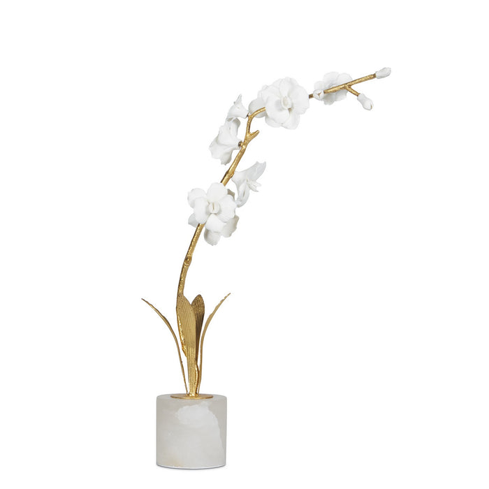 Regina Andrew 20-1620 Accessory 1, White