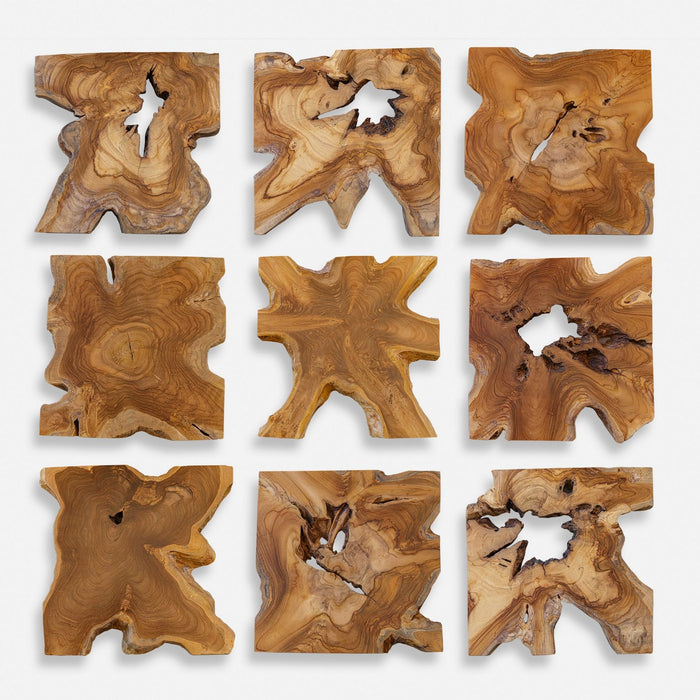 Uttermost 04379 Wall Decor Set/9, Natural Teak Wood