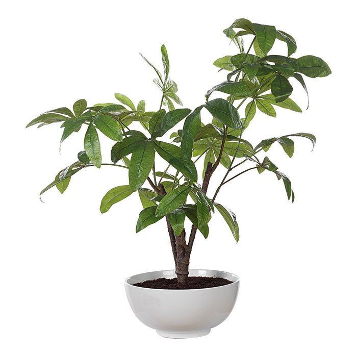 Uttermost 60225 Tree, Glossy White