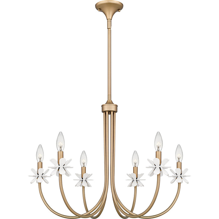 Quoizel REY5030BGD Six Light Chandelier, Bronze Gold