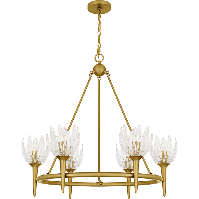 Quoizel SHA5032BRG Six Light Chandelier, Brushed Gold
