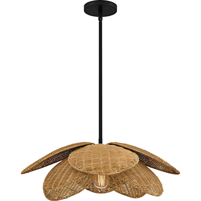 Quoizel WLL2822MBK One Light Pendant, Matte Black