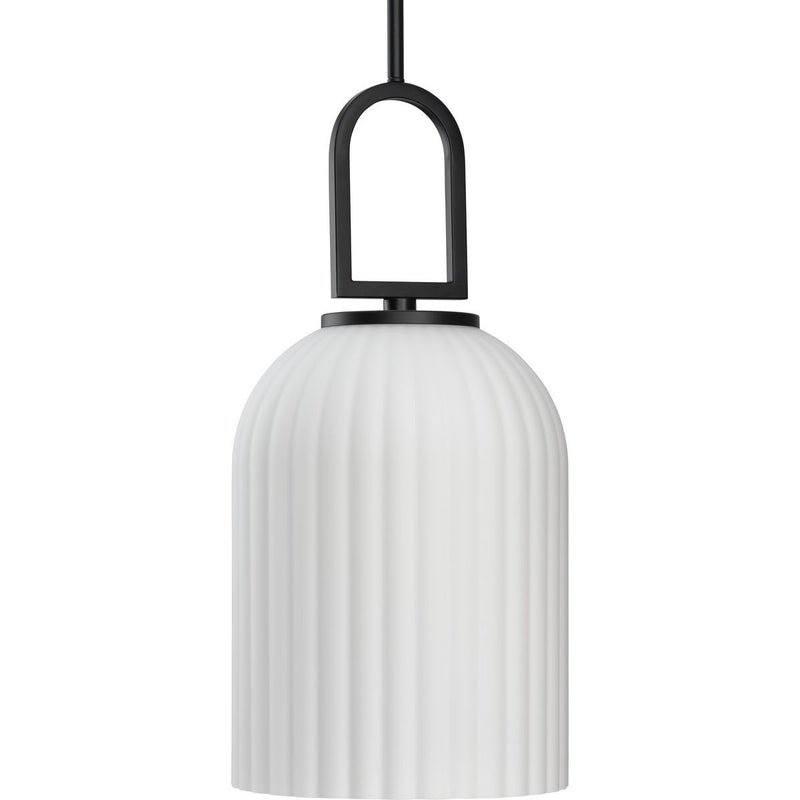 Progress Lighting P500482-31M One Light Pendant, Matte Black