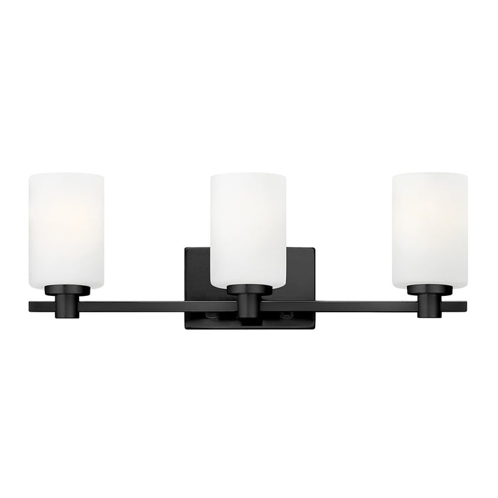 Hinkley 54623BK LED Vanity, Black