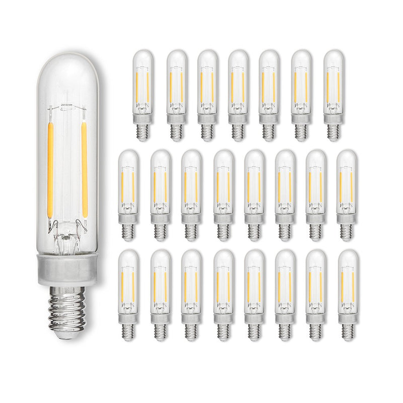 Hinkley E12T62243CL-24 LED Bulb