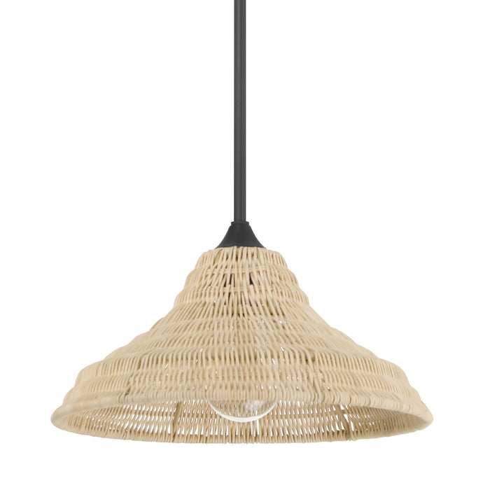 Hunter 48081 One Light Pendant, Matte Black