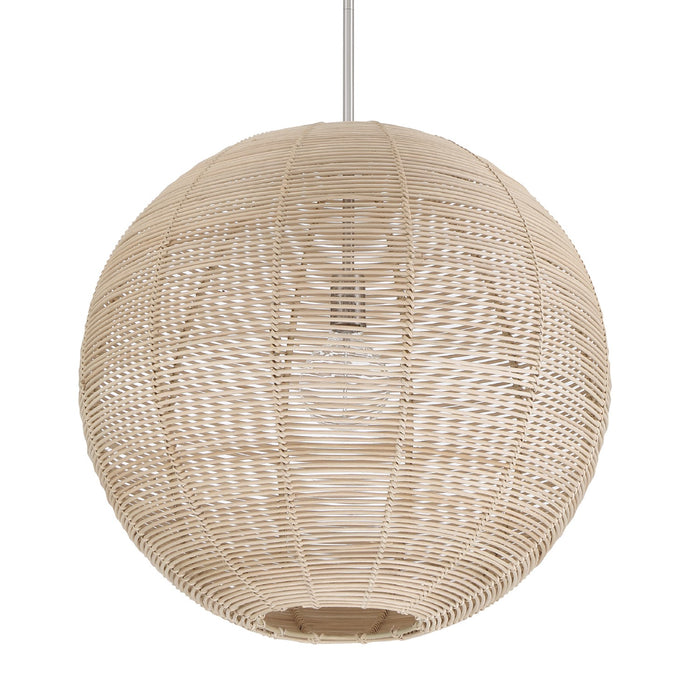 Hunter 48087 One Light Pendant, Brushed Nickel