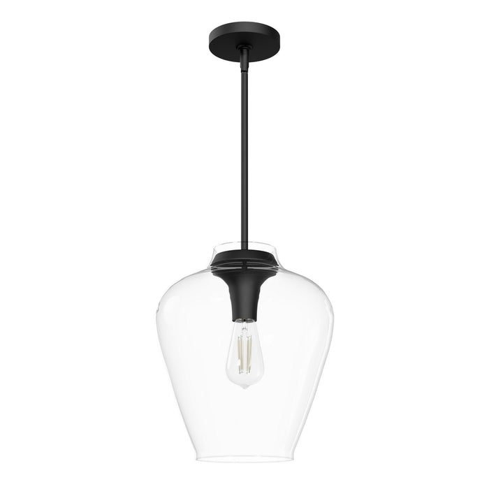 Hunter 49011 One Light Pendant, Matte Black