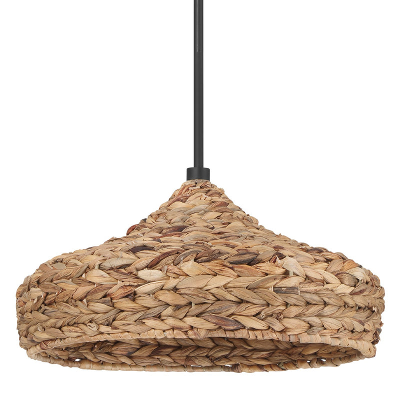 Hunter 49028 One Light Pendant, Matte Black