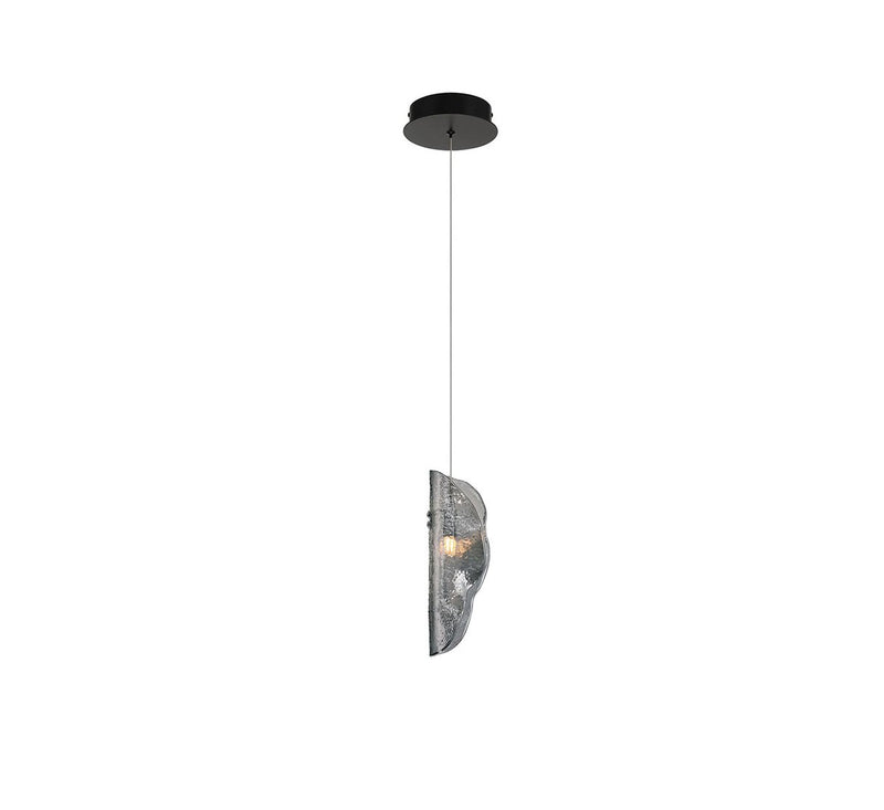 Lib & Co. 12166-019-02 LED Pendant, Black
