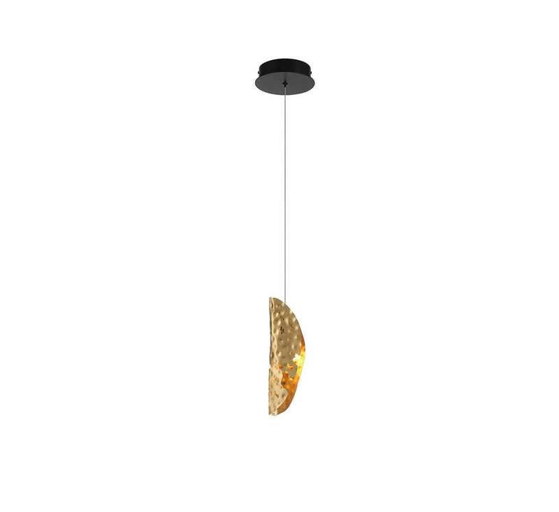 Lib & Co. 12166-020-02 LED Pendant, Black