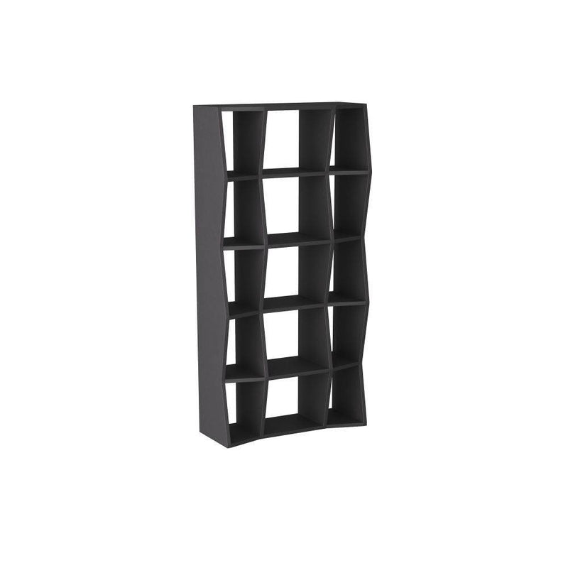 Arteriors FGS03 Bookcase, Ebony