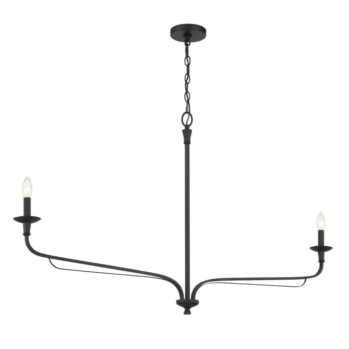Minka-Lavery 3825-899 Two Light Chandelier, Dark Matte Black