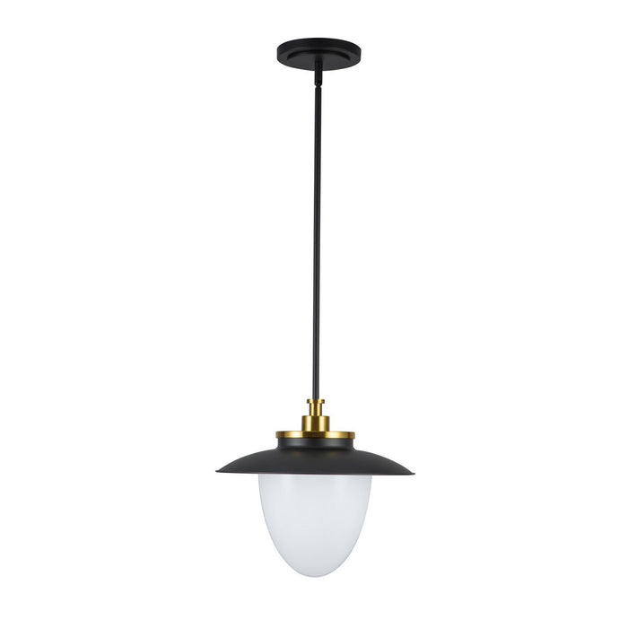 Artcraft AC11905BB One Light Pendant, Black