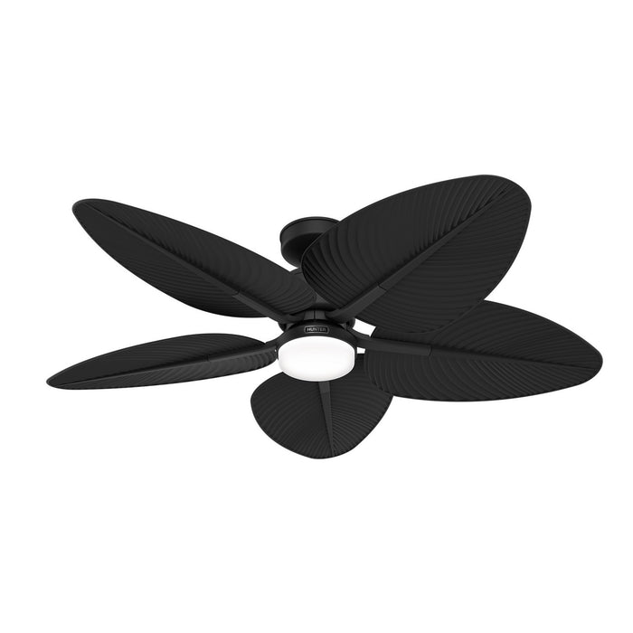 Hunter 53013 52" Ceiling Fan, Matte Black