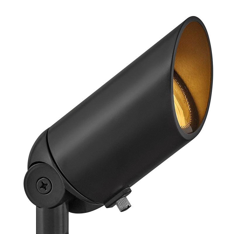 Hinkley 1536BSK-LL LED Spot Light, Brass Satin Black