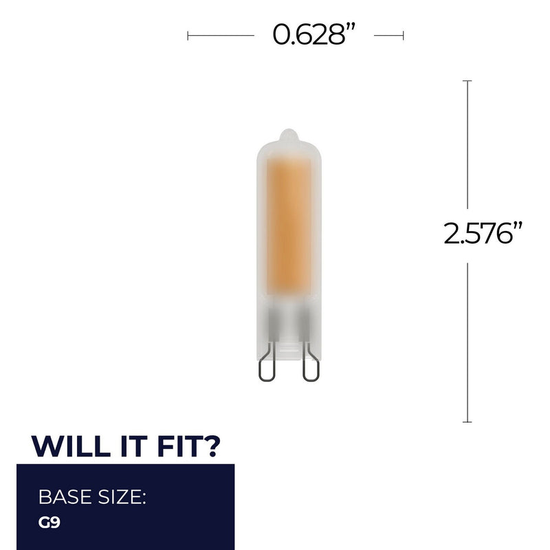 Bulbrite 770658 Light Bulb, Frost