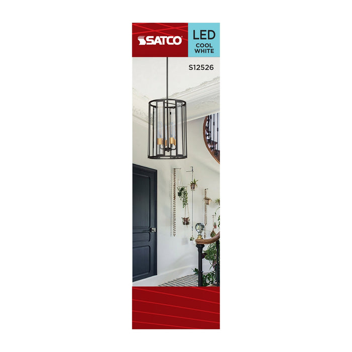 Satco S12526 Light Bulb, Clear