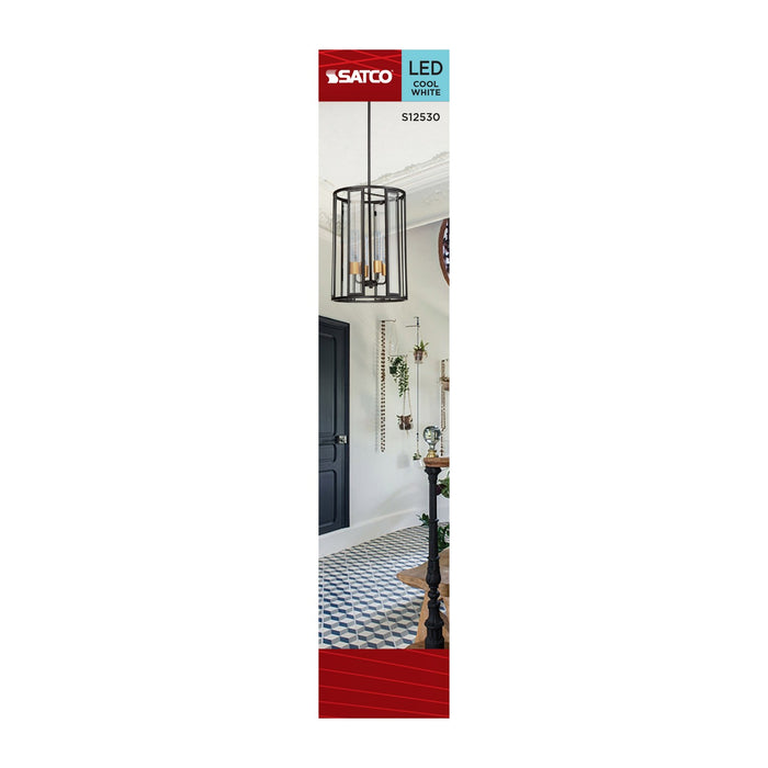 Satco S12530 Light Bulb, Clear