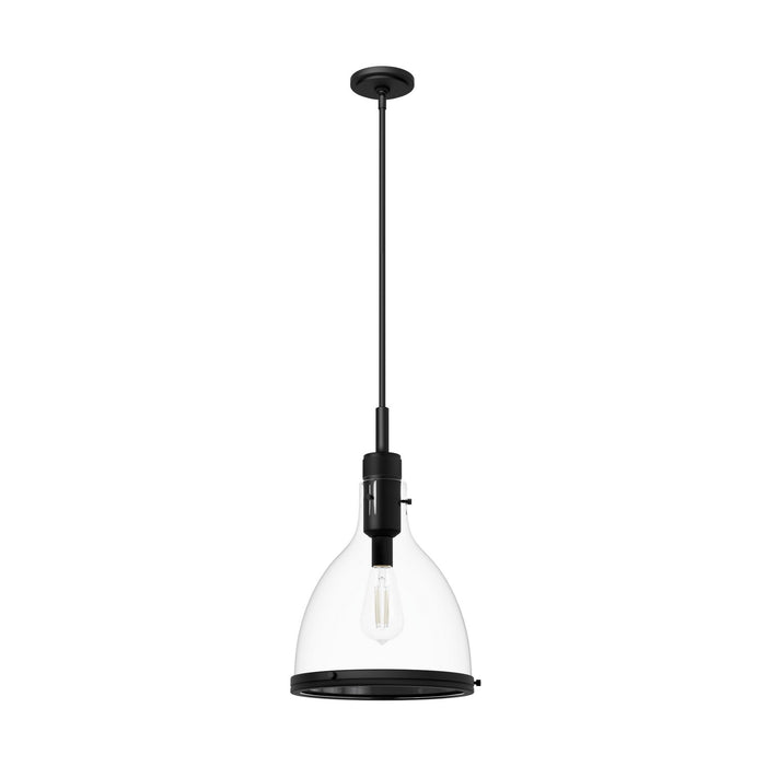 Hunter 48042 One Light Pendant, Matte Black