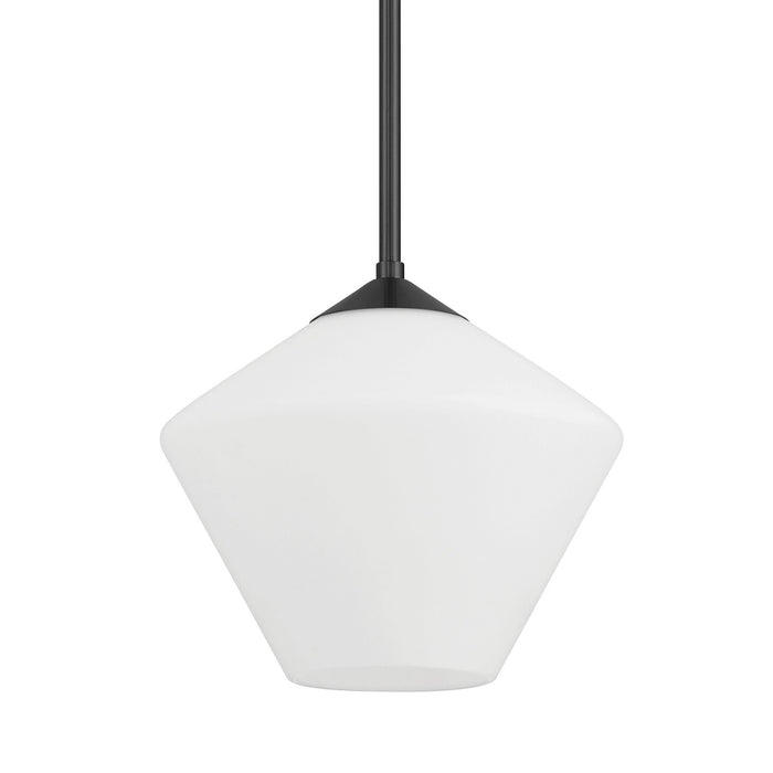 Hunter 48100 One Light Pendant, Matte Black