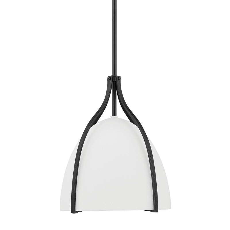 Hunter 48119 One Light Pendant, Matte Black