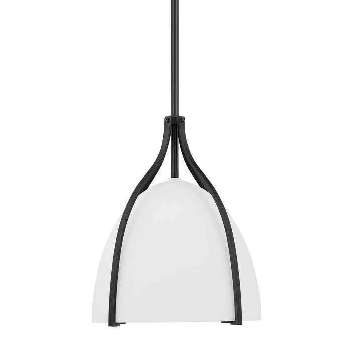 Hunter 48119 One Light Pendant, Matte Black