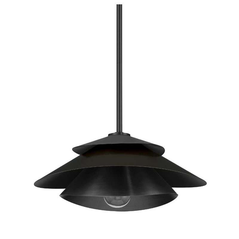 Hunter 48157 One Light Pendant, Matte Black