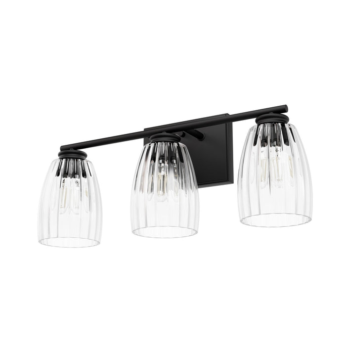 Hunter 13103 Three Light Bathroom Vanity, Matte Black