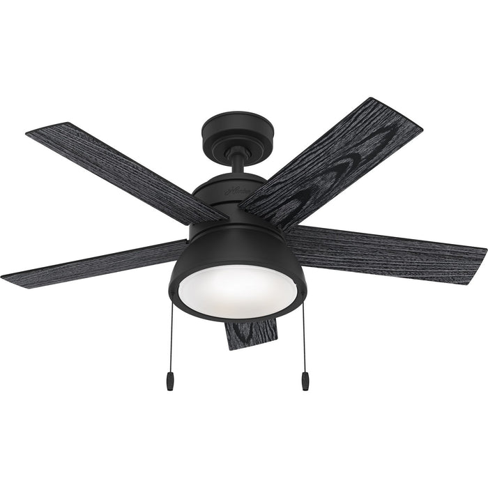 Hunter 51139 44" Ceiling Fan, Matte Black