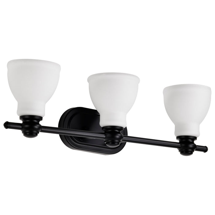 Nuvo Lighting 60-8023 Three Light Vanity, Matte Black